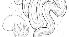 disegno serpenti colorare uno