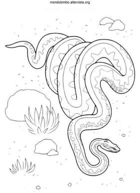 disegno serpenti colorare uno