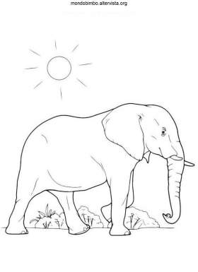 disegno elefanti colorare uno