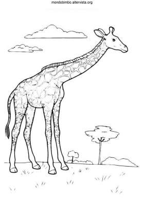 disegno giraffe colorare uno