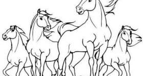 disegno colorare spirit cavallo selvaggio cavalli mustang