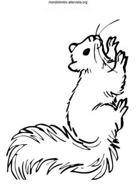 disegno scoiattoli colorare scoiattolo