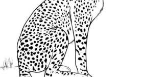 disegno leopardi colorare seduto