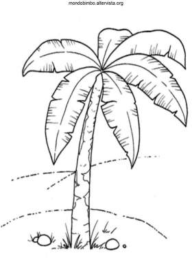 disegno piante palma colorare