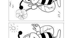 trova le 11 differenze ape fiore