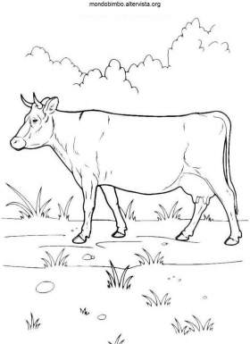 disegno mucche bufali colorare 1
