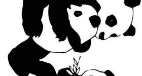 disegno panda colorare 2
